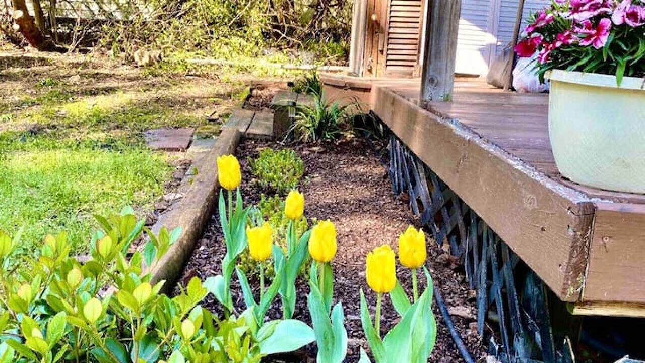 Photo of Outdoor in Durham