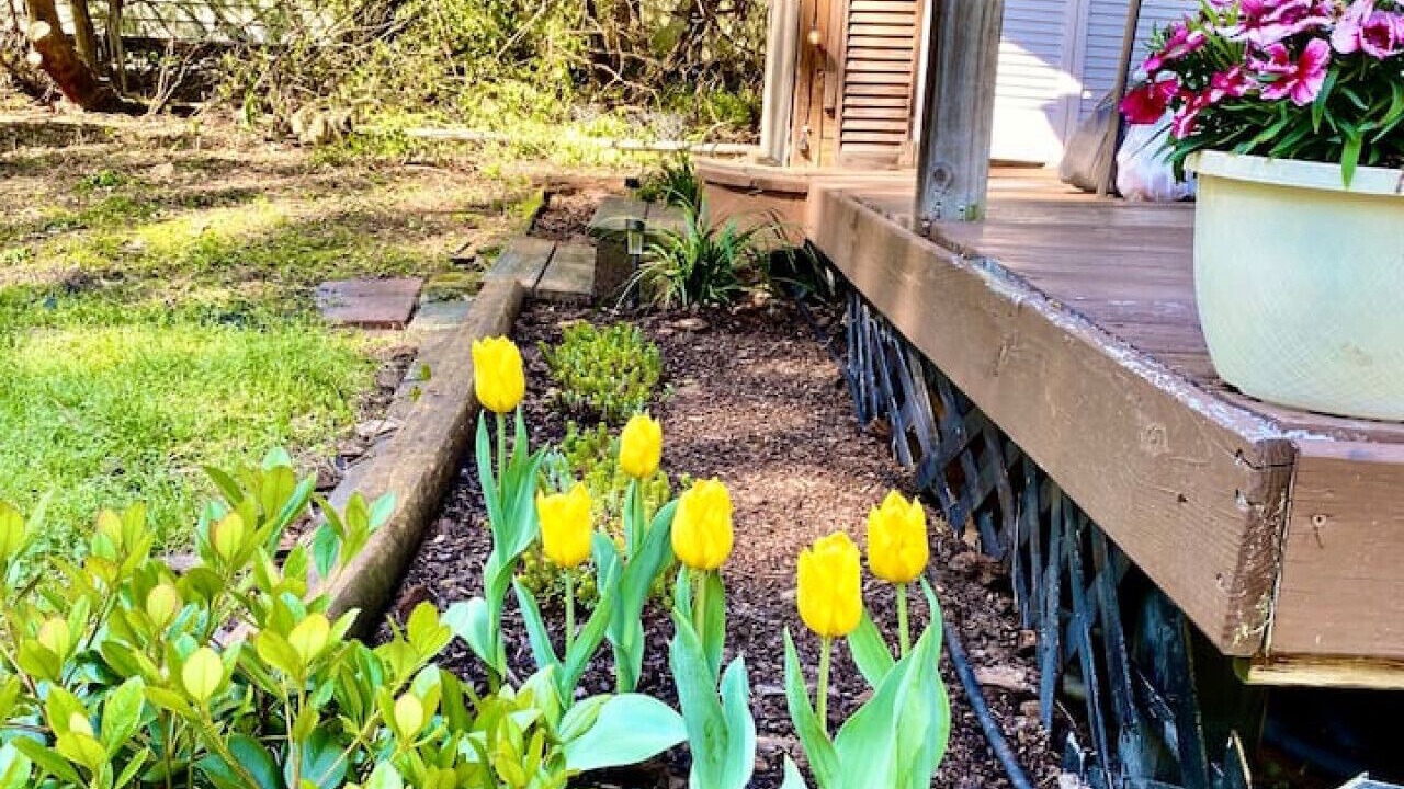 Photo of Outdoor in Durham