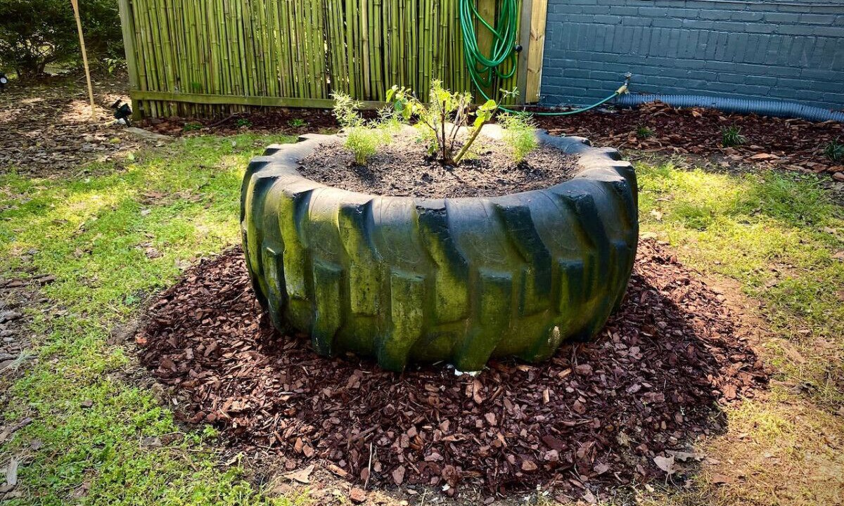 Photo of Outdoor in Durham