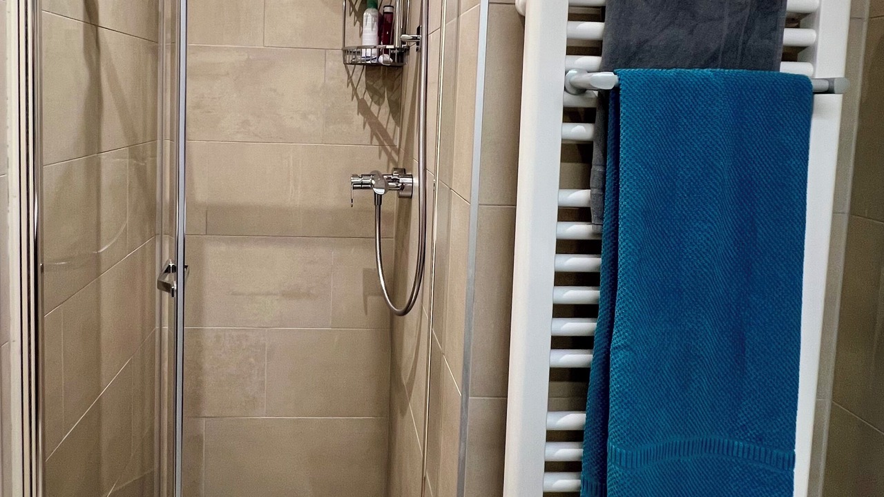 Photo of Bathroom in Orselina