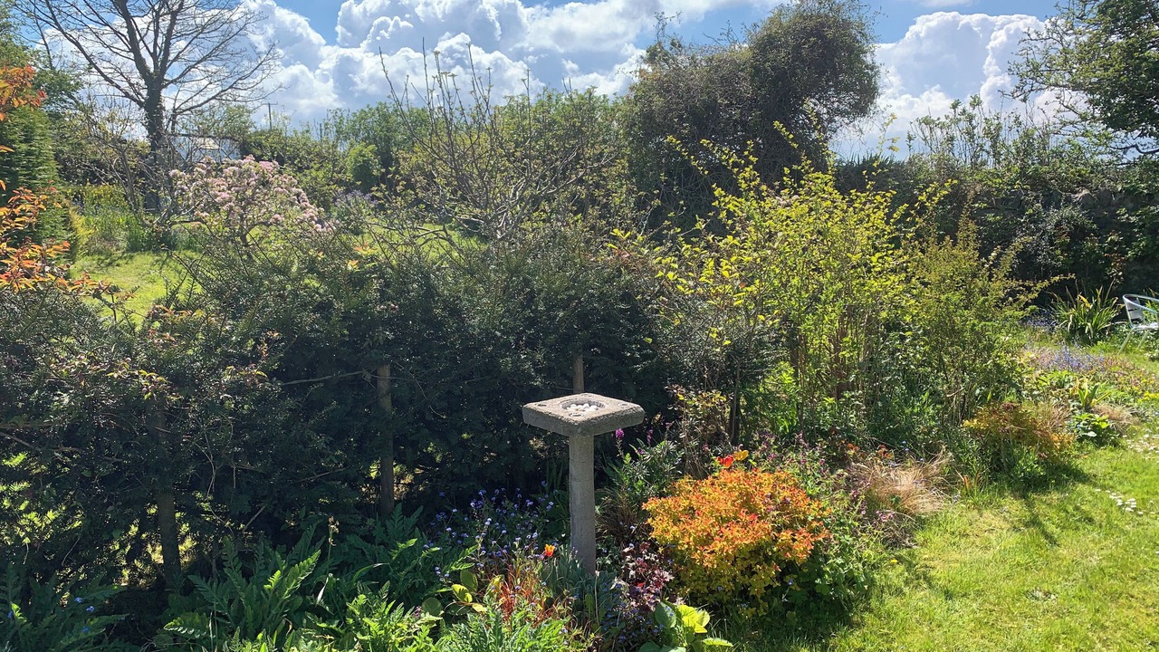 Photo of Outdoor in Carnbrea