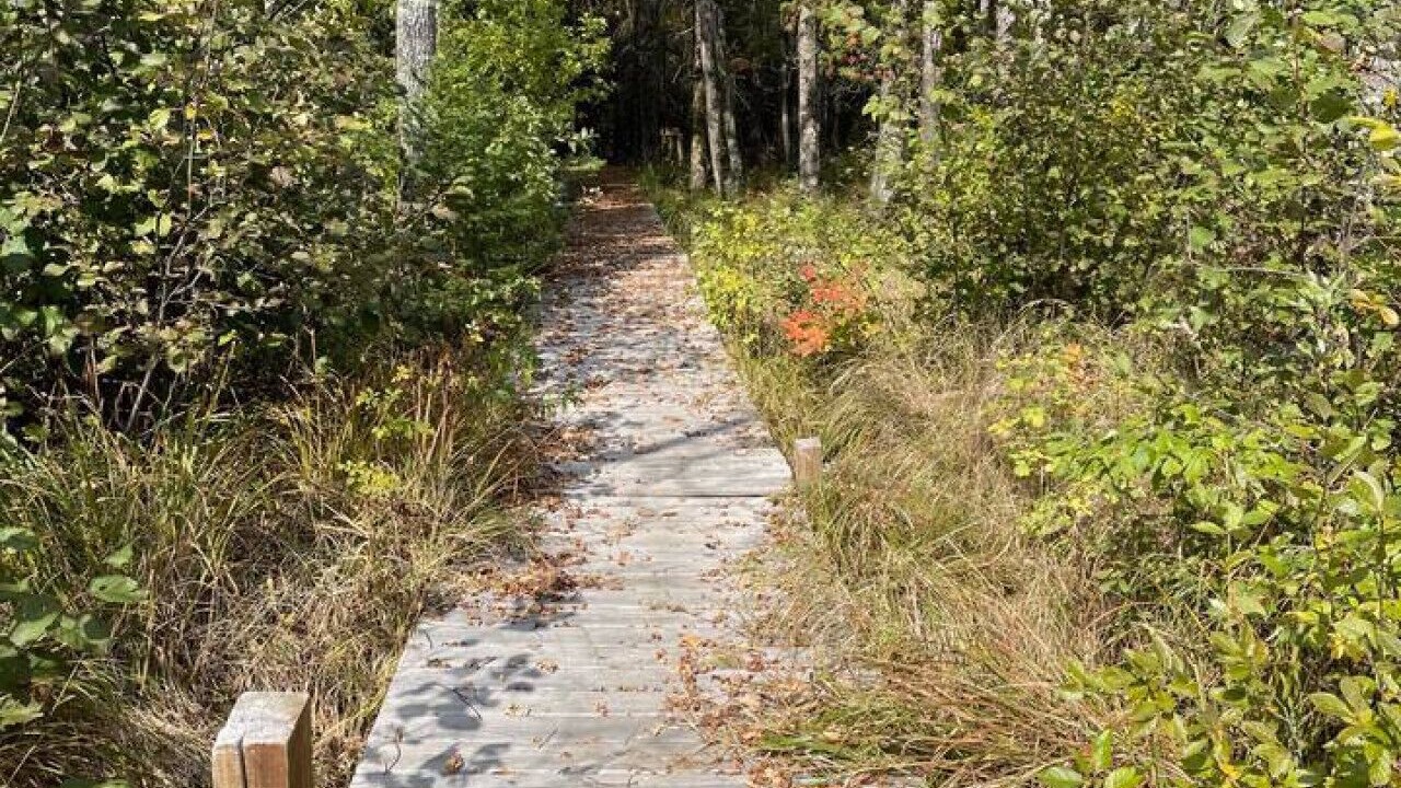 Photo of Outdoor in Michigamme