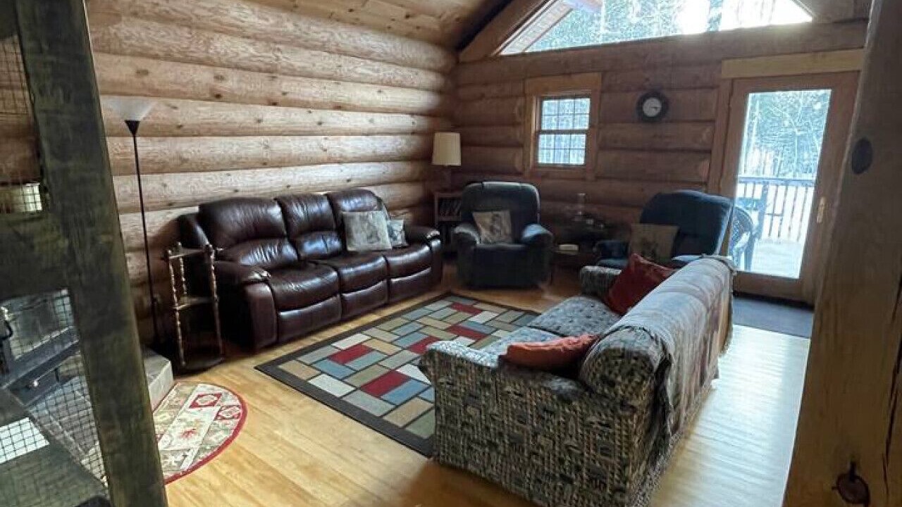 Photo of Livingroom in Michigamme