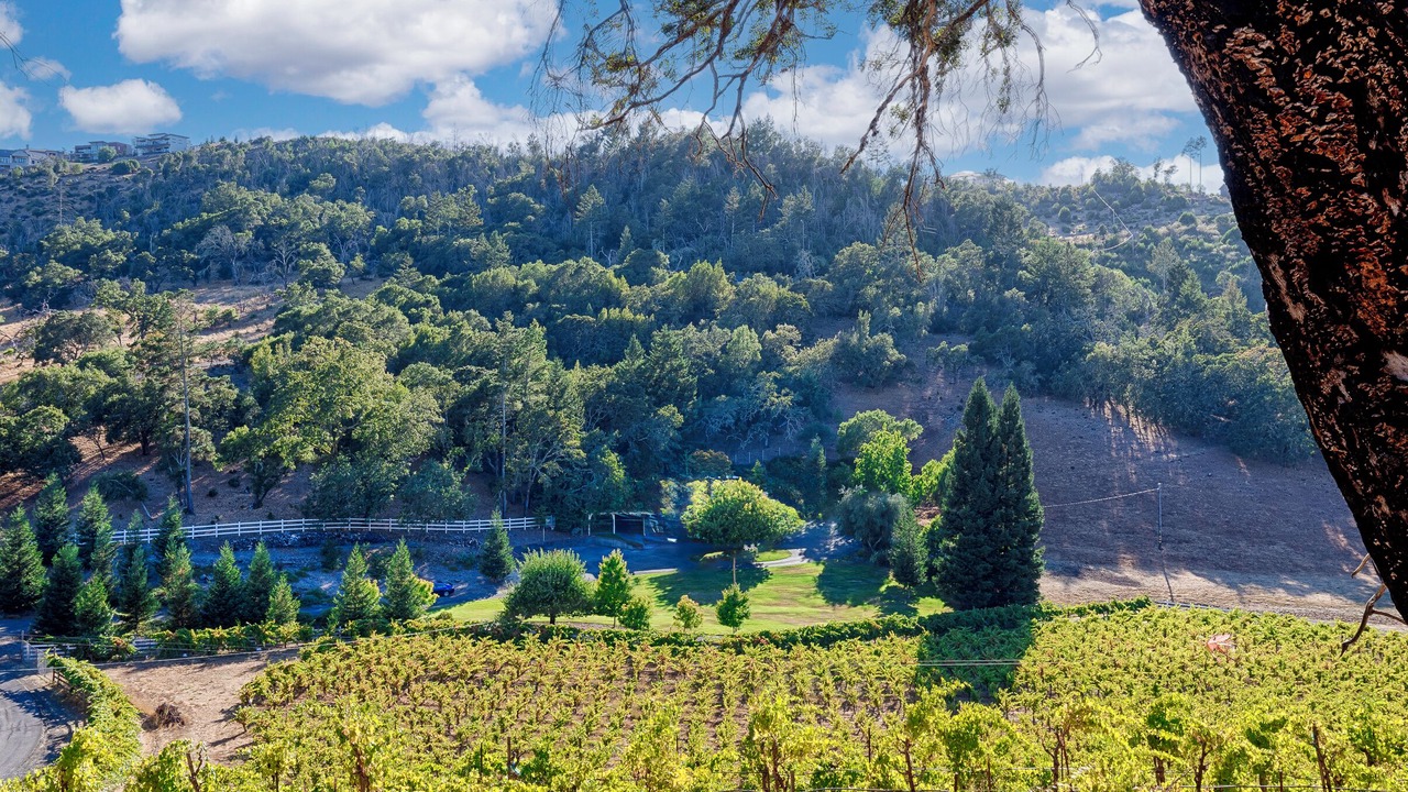 Photo of Others in Riebli-Wallace Neighborhood Group