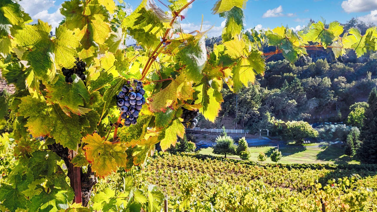 Photo of Others in Riebli-Wallace Neighborhood Group