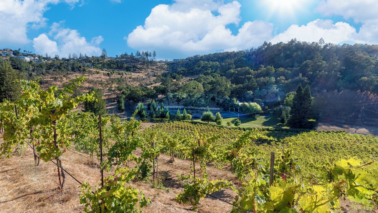 Photo of Others in Riebli-Wallace Neighborhood Group