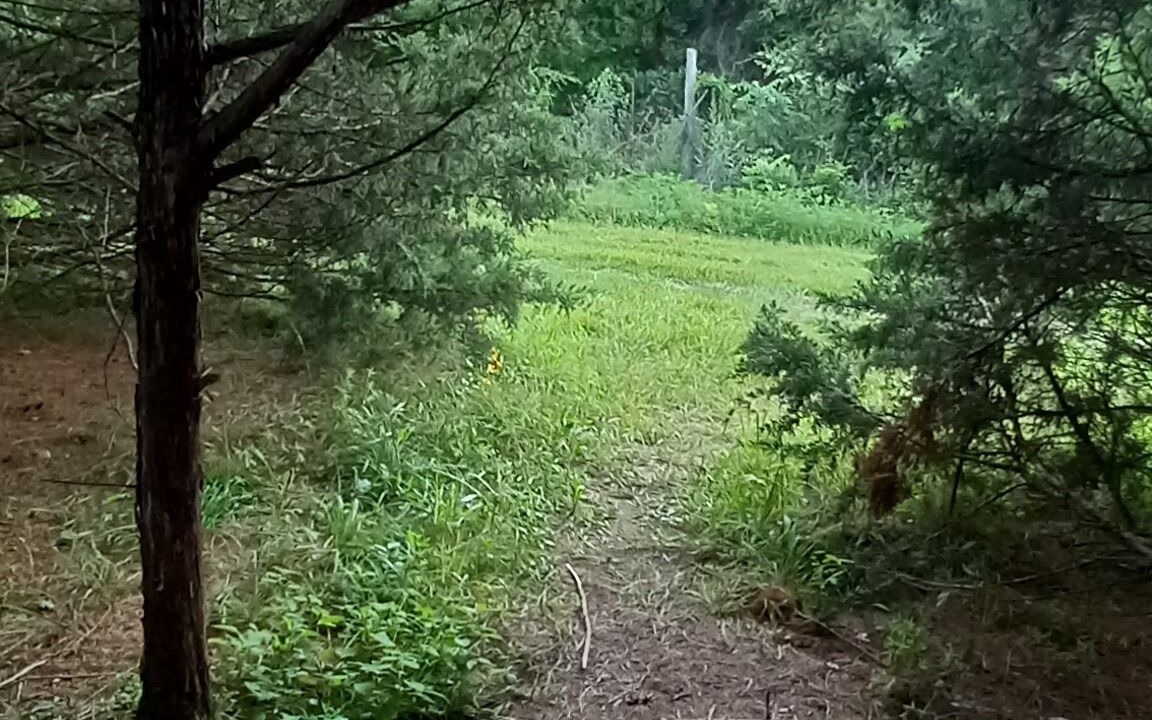 Photo of Others in Elkland