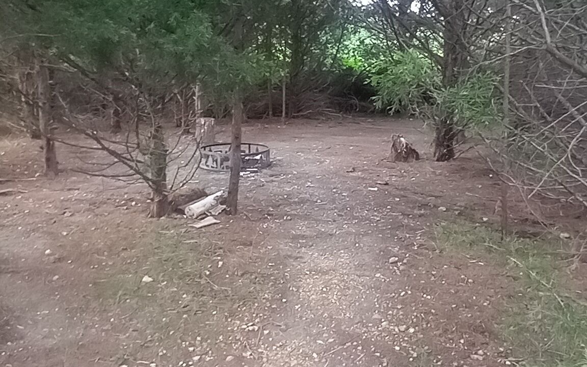 Photo of Others in Elkland