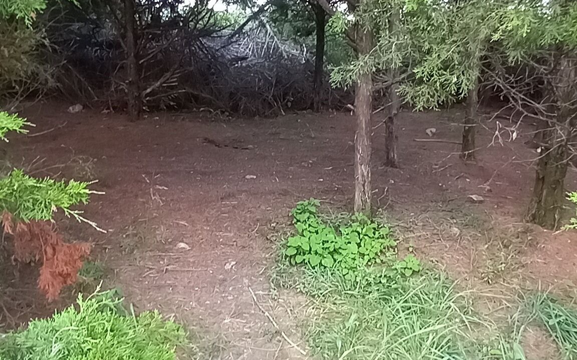 Photo of Outdoor in Elkland