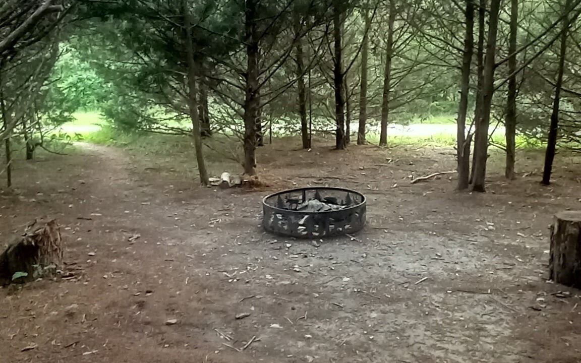 Photo of Livingroom in Elkland