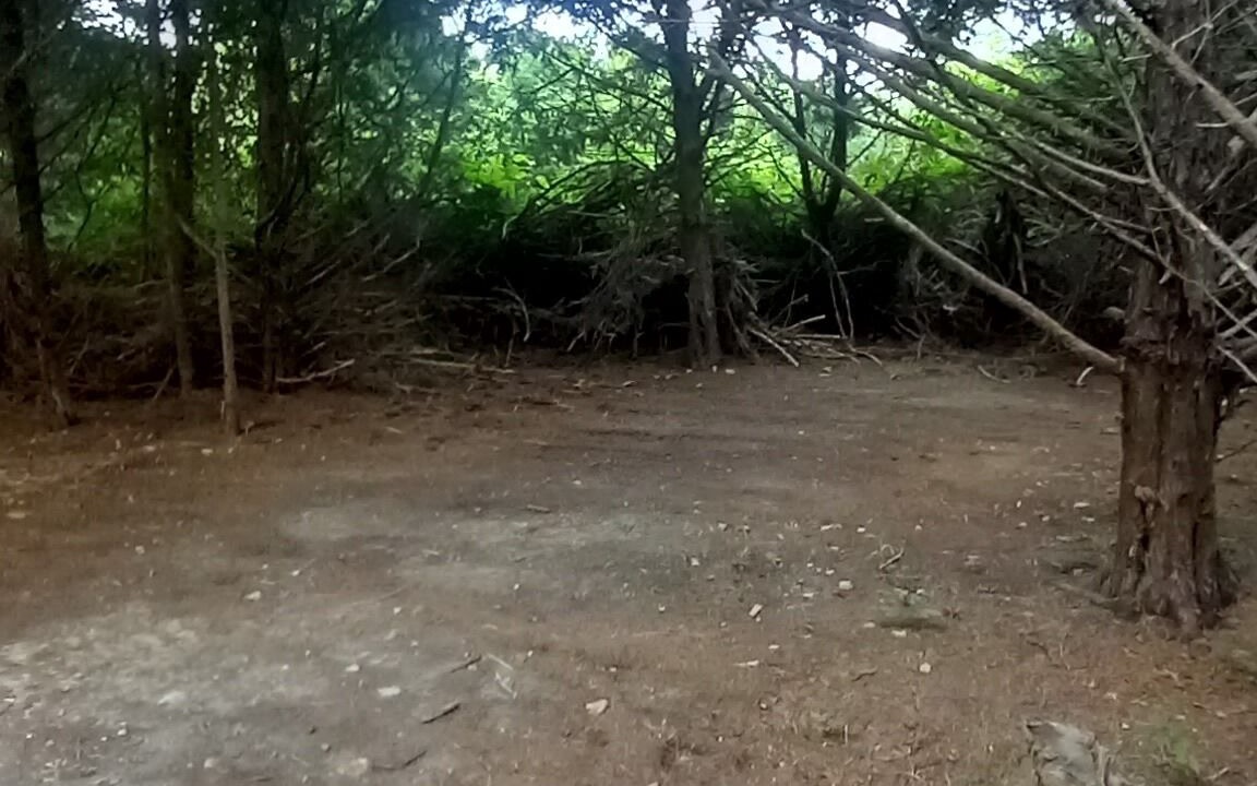 Photo of Others in Elkland