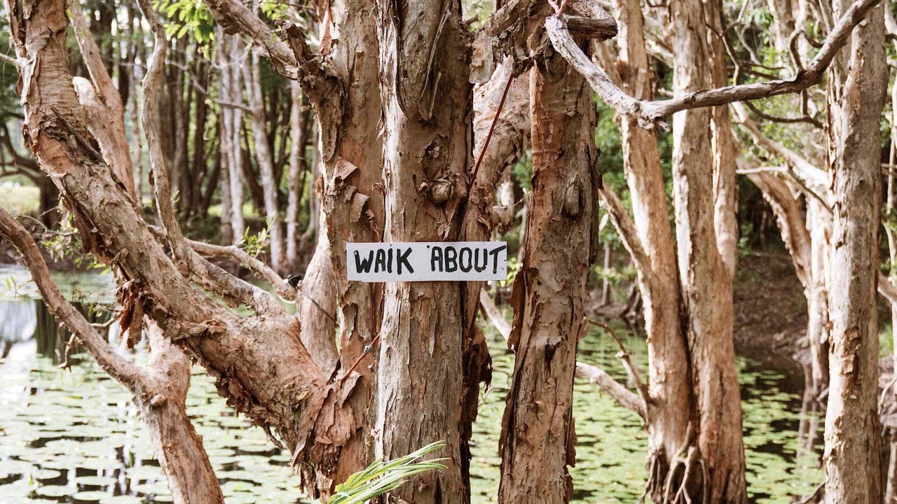 Photo of Others in Boambee East