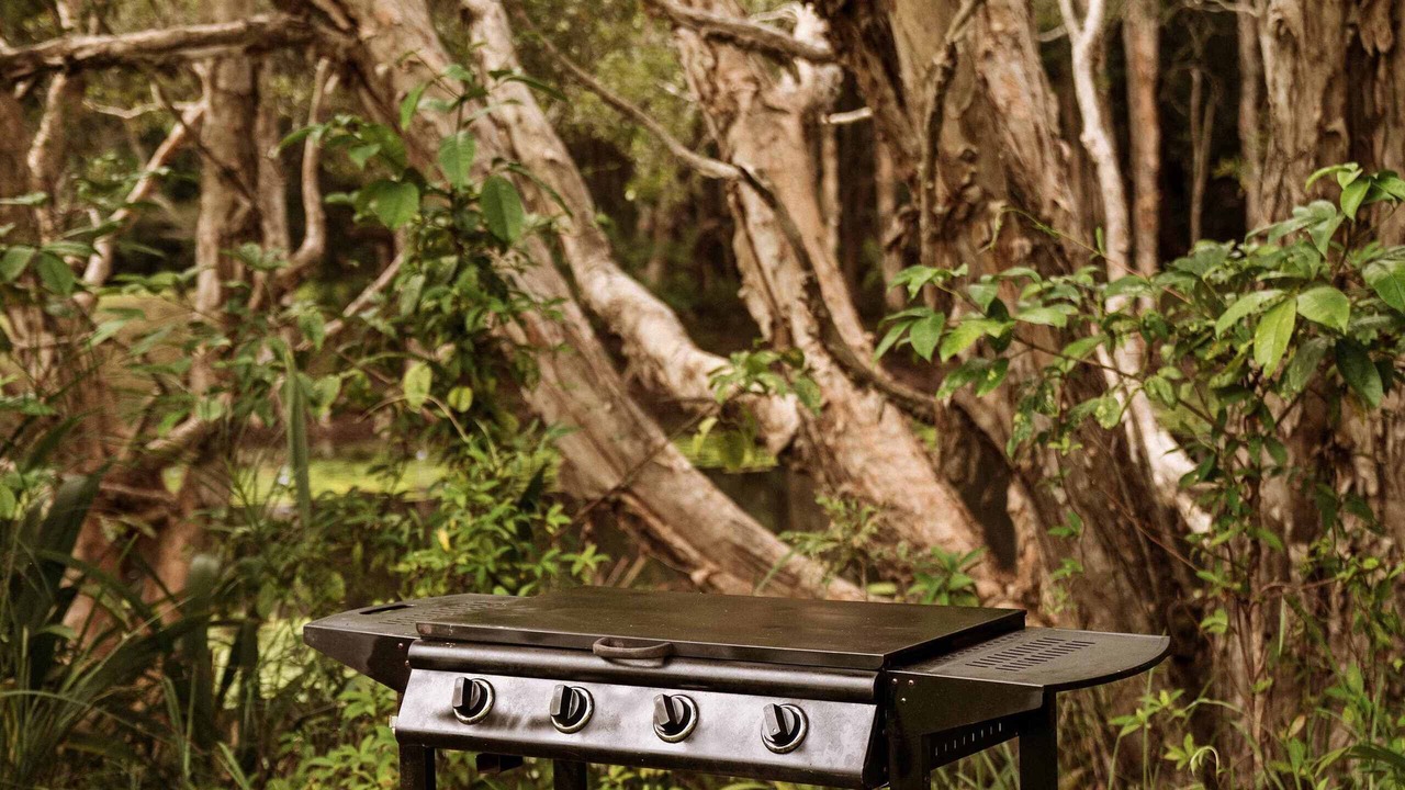 Photo of Outdoor in Boambee East