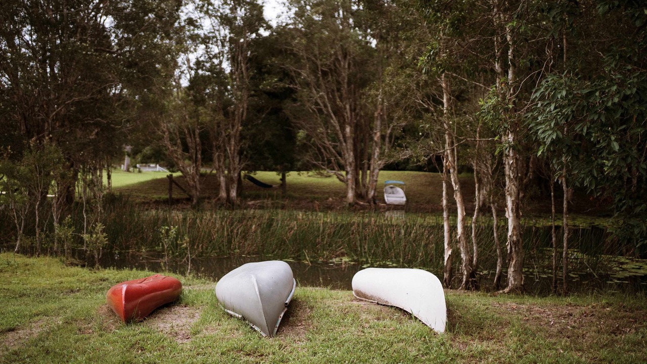 Photo of Outdoor in Boambee East