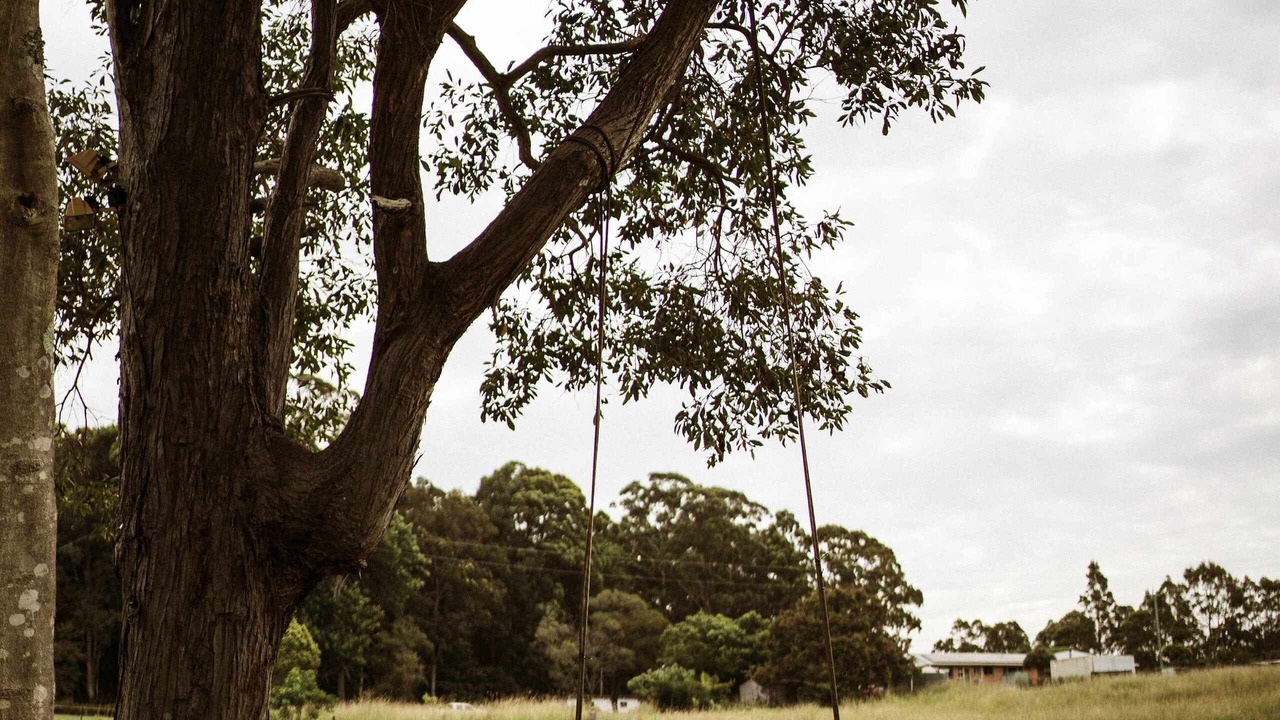 Photo of Others in Boambee East