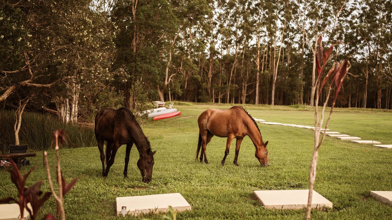 Photo of Outdoor in Boambee East