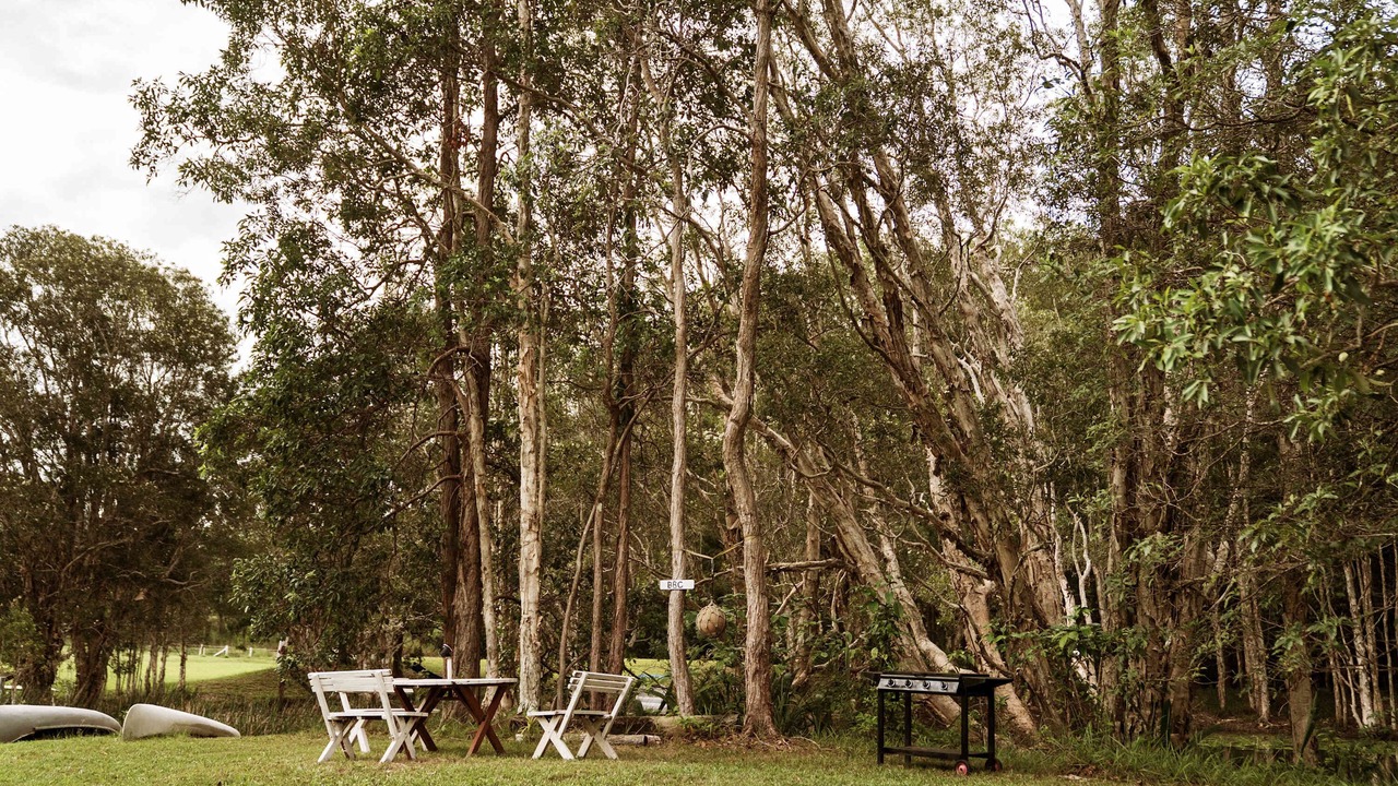 Photo of Outdoor in Boambee East