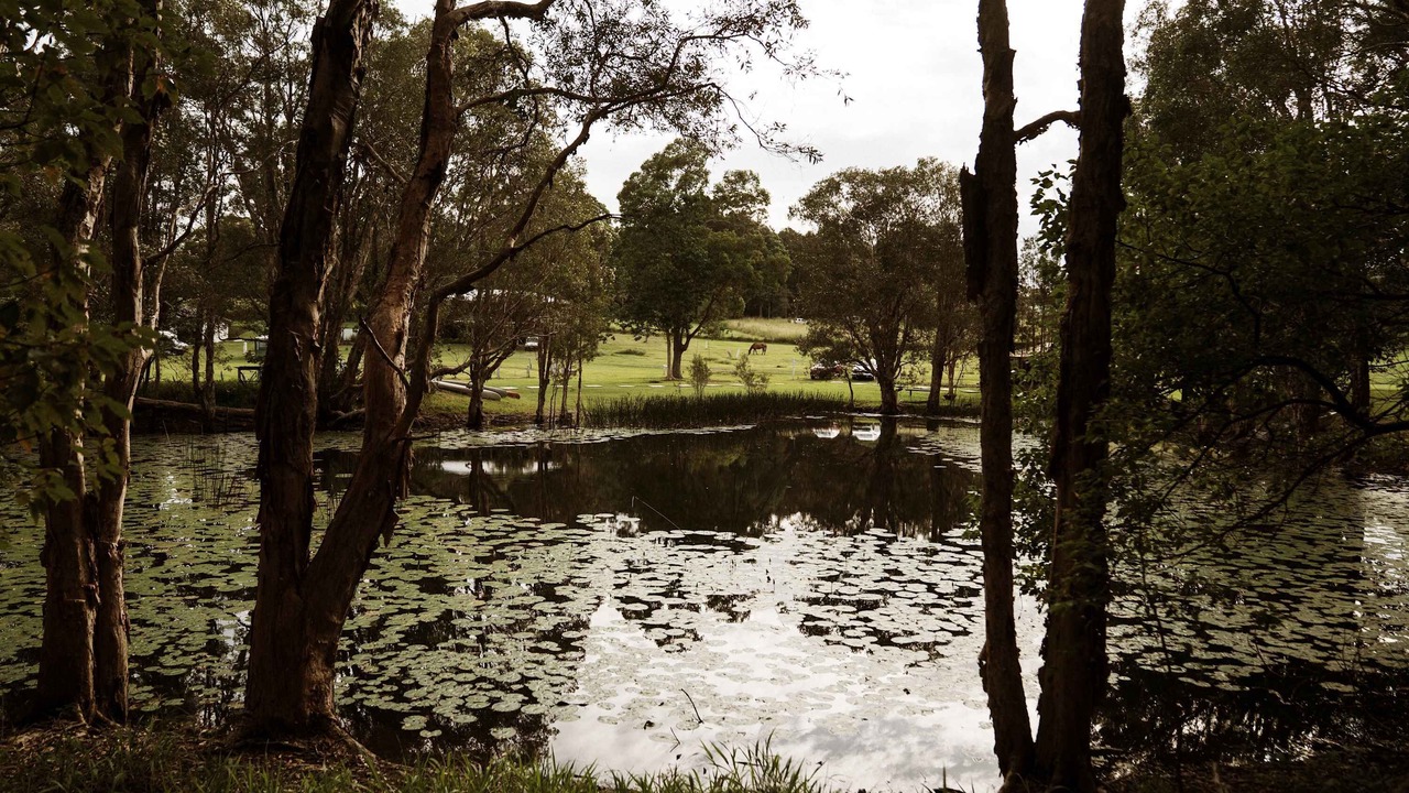 Photo of Others in Boambee East