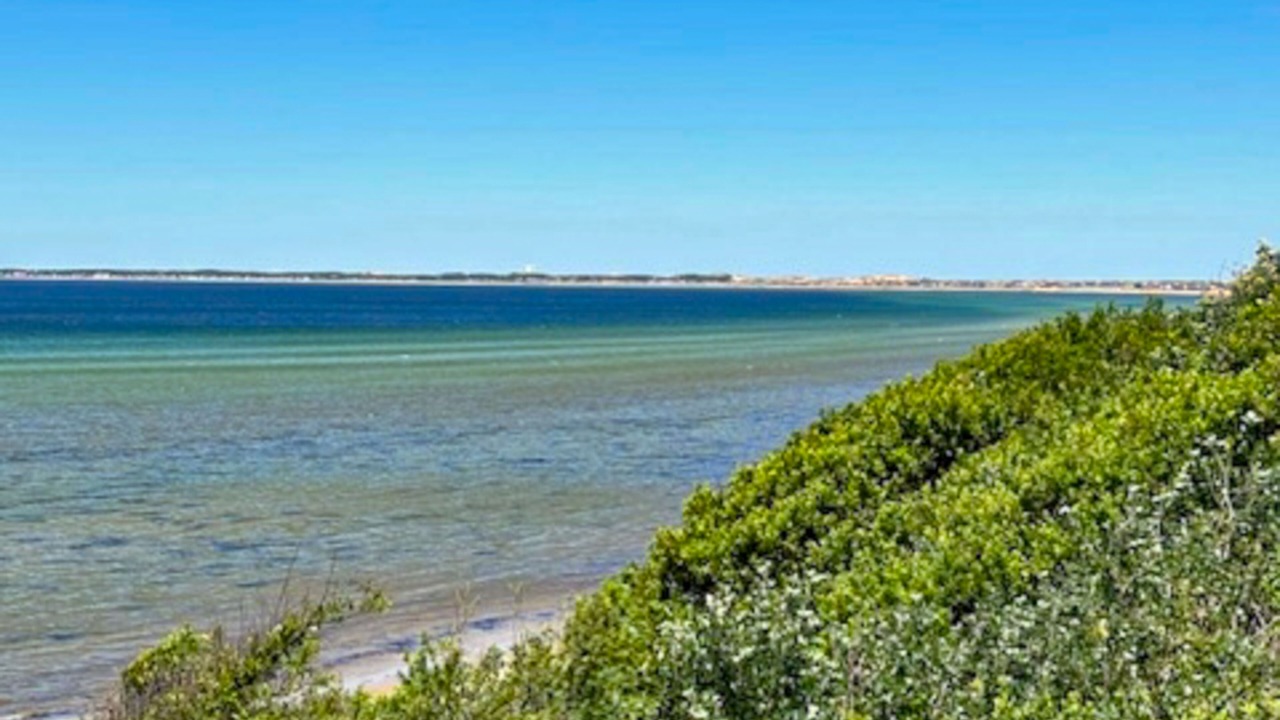 Photo of Others in North Truro