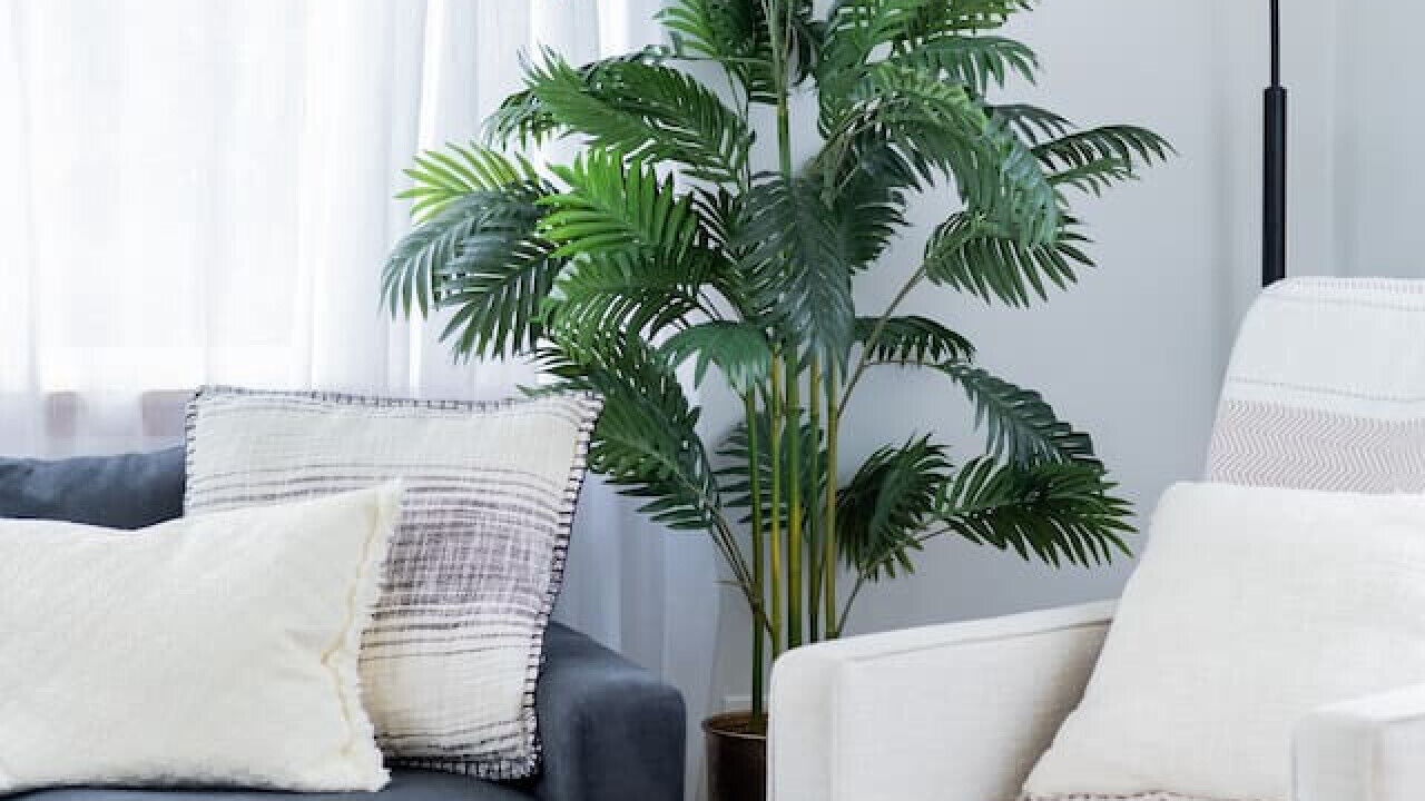 Photo of Livingroom in Hilo