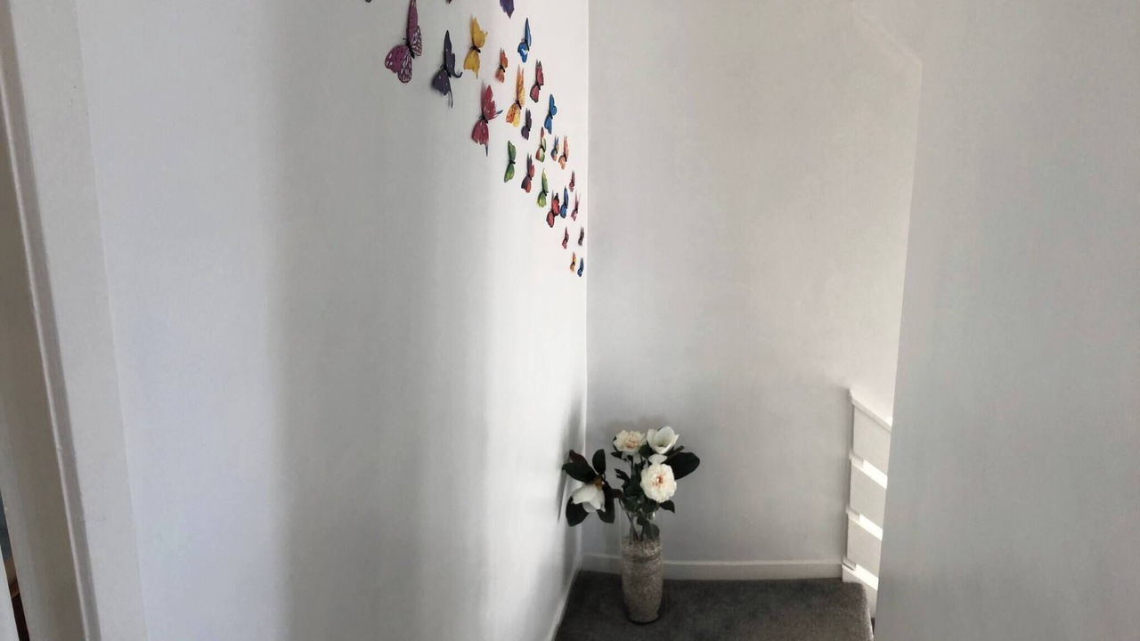 Photo of Others in Carluke