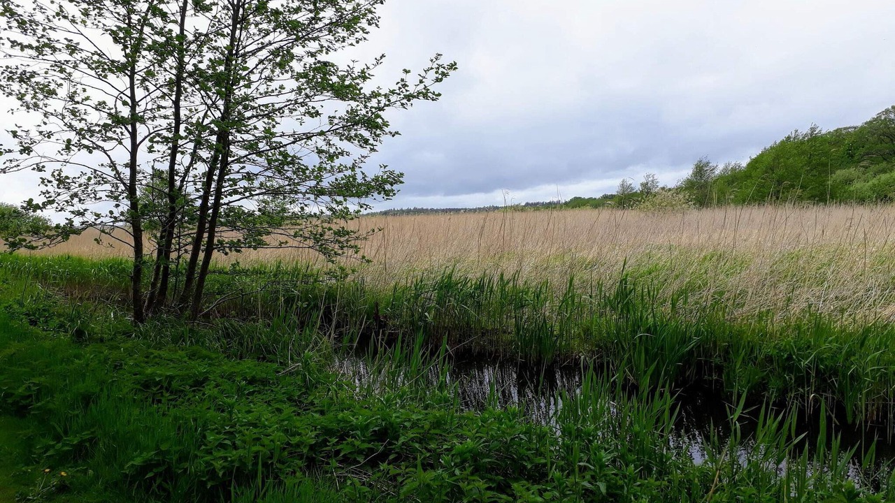 Photo of Others in Øksenmølle