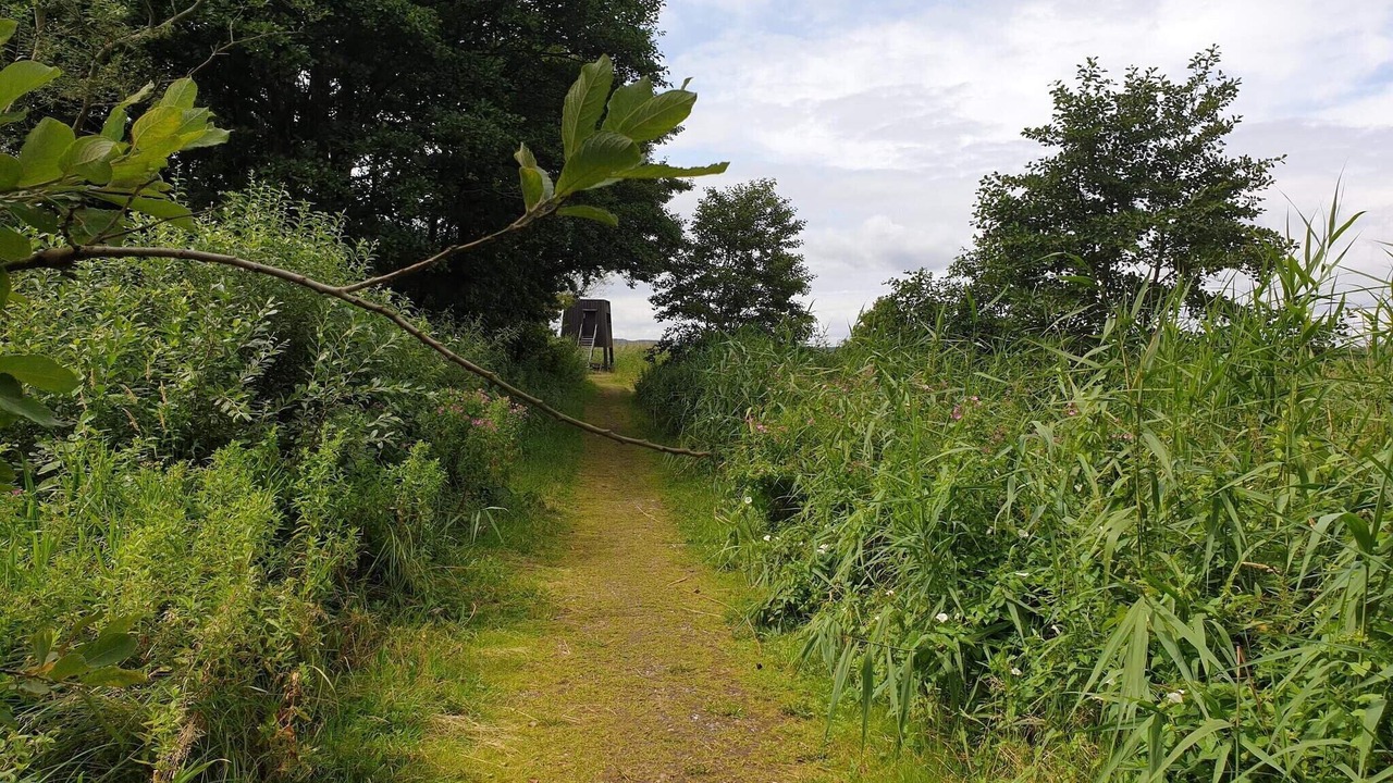 Photo of Outdoor in Øksenmølle