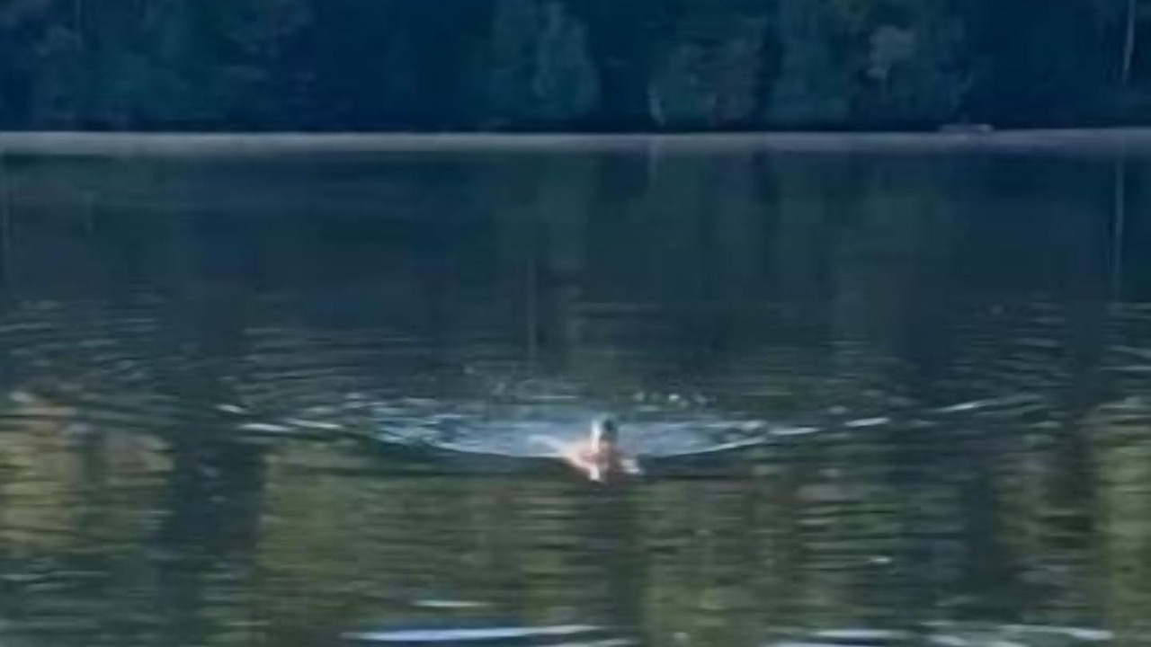 Photo of Others in Algonquin Highlands