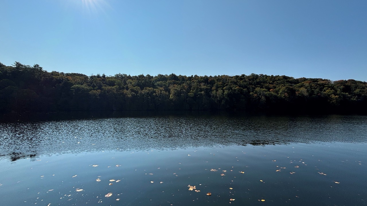 Photo of Outdoor in Algonquin Highlands