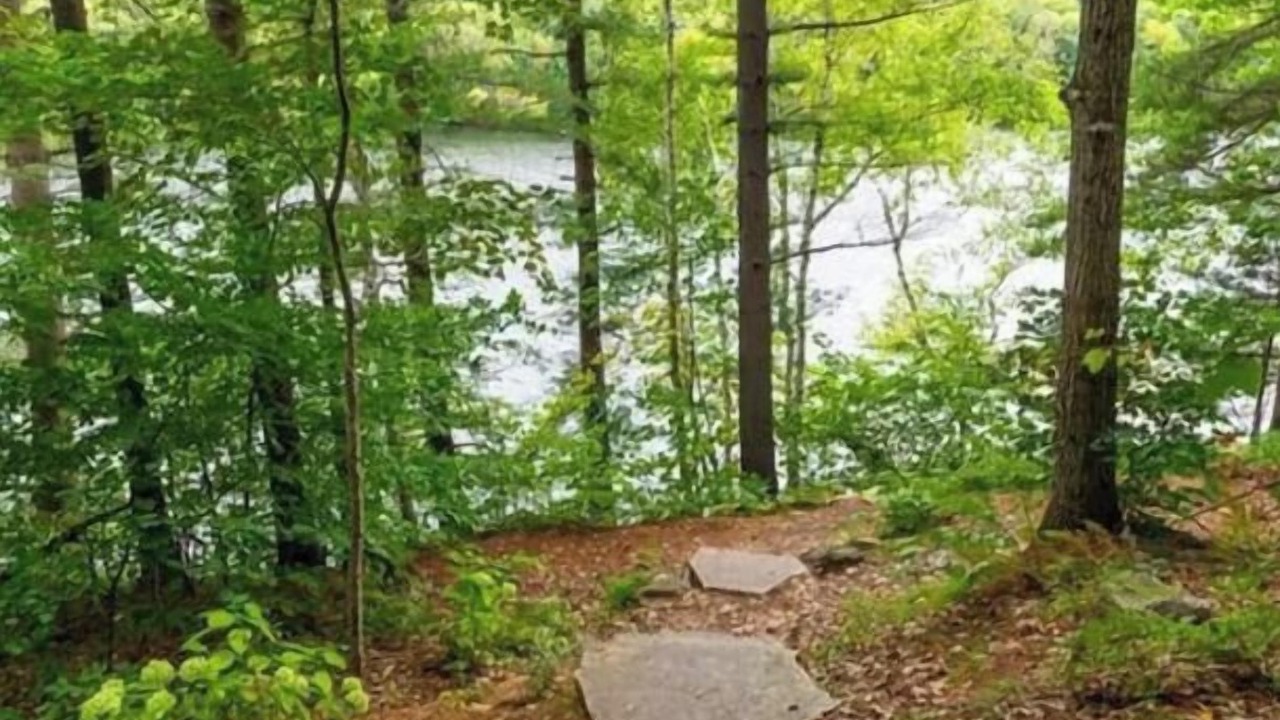 Photo of Outdoor in Algonquin Highlands