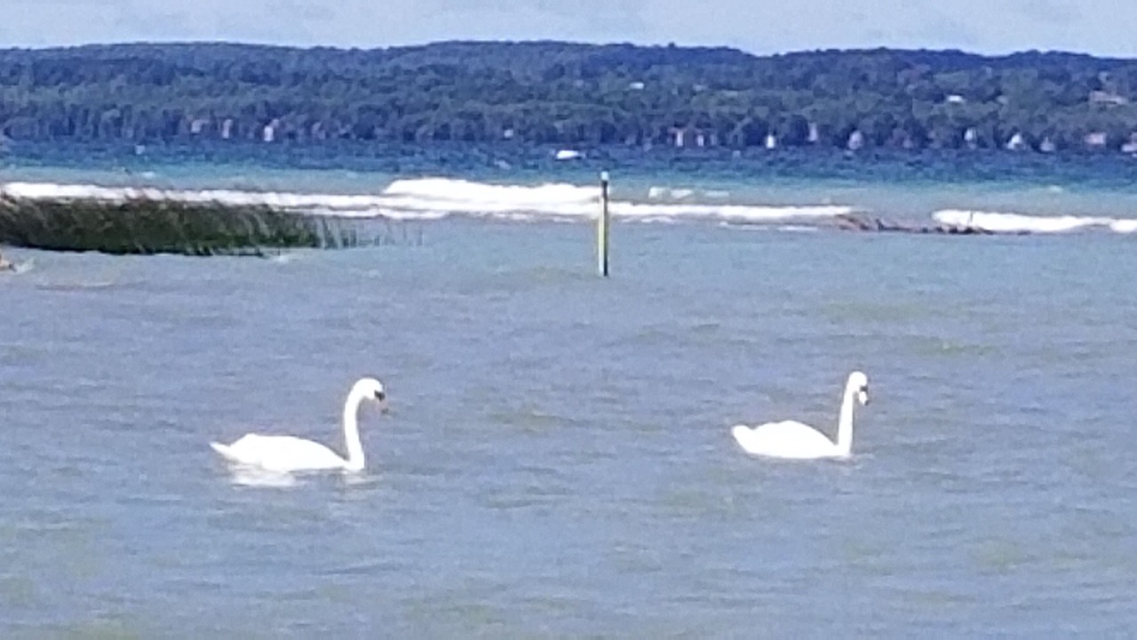 Photo of Others in Owen Sound