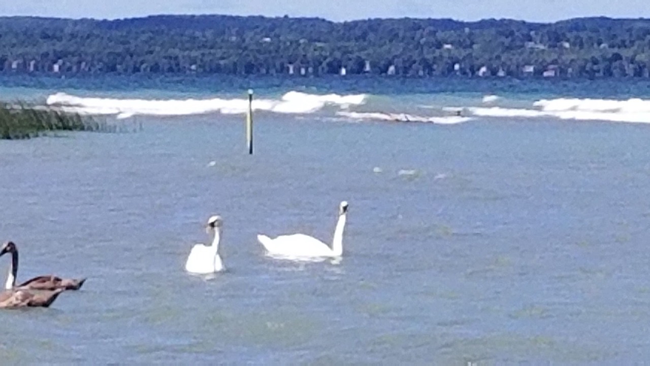 Photo of Others in Owen Sound