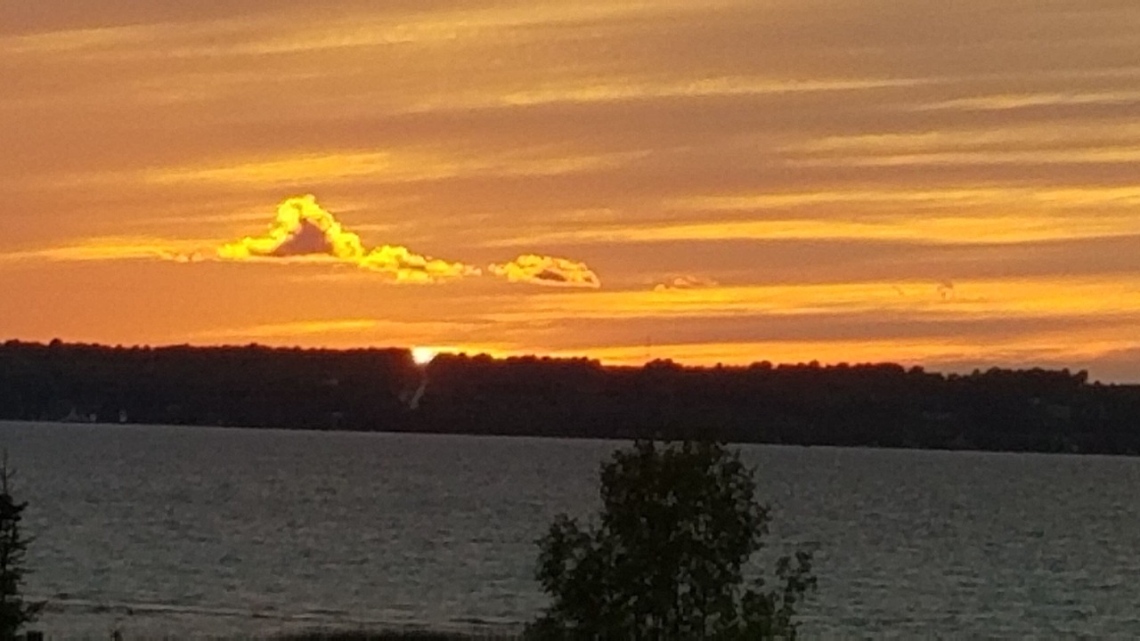 Photo of Others in Owen Sound