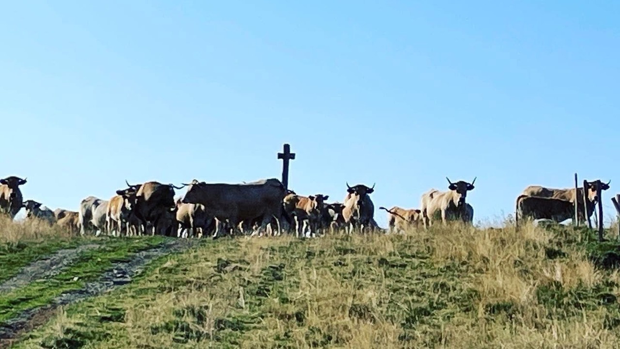 Photo of Others in Saint-Urcize