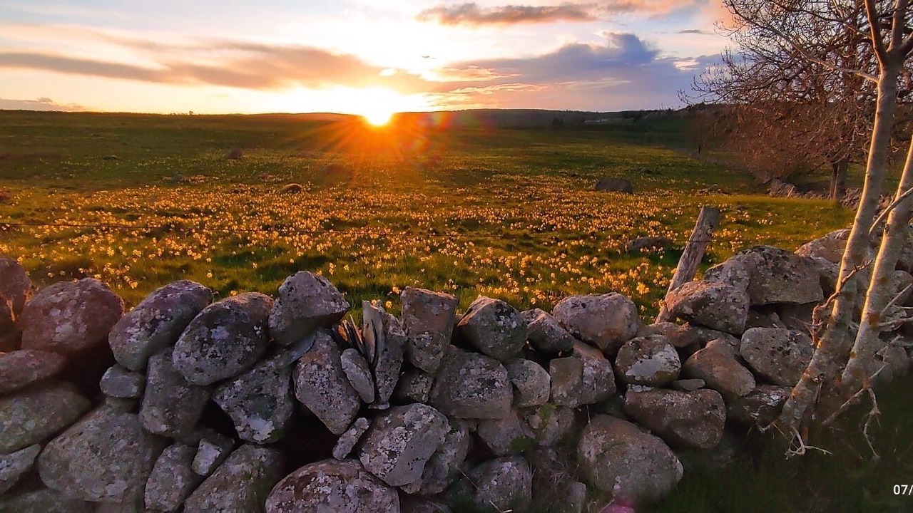Photo of Others in Saint-Urcize