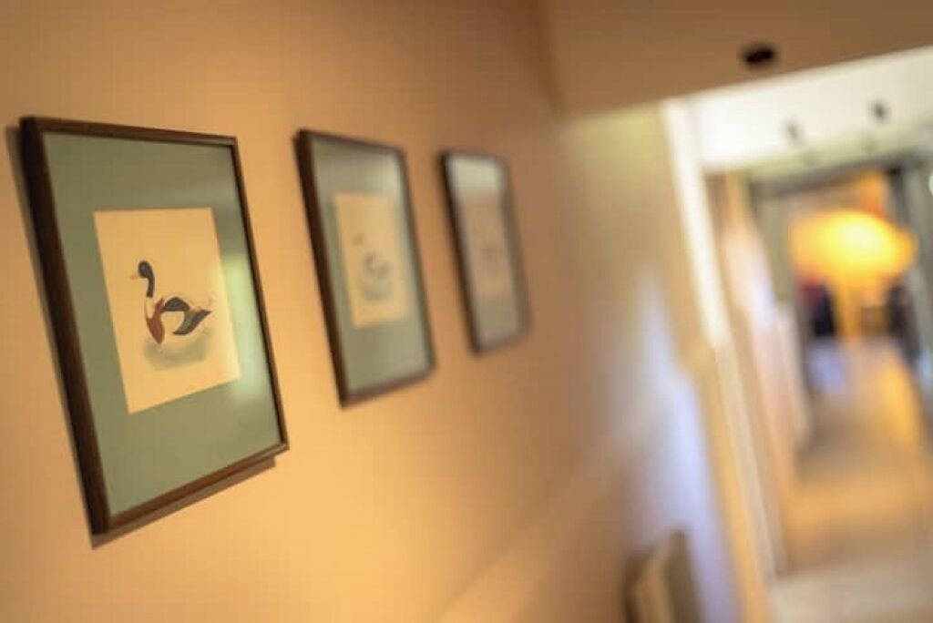 Photo of Others in Saires