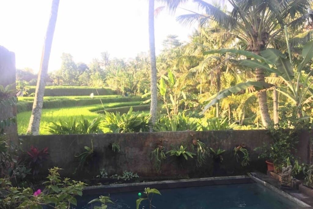 Photo of Outdoor in Penestanan