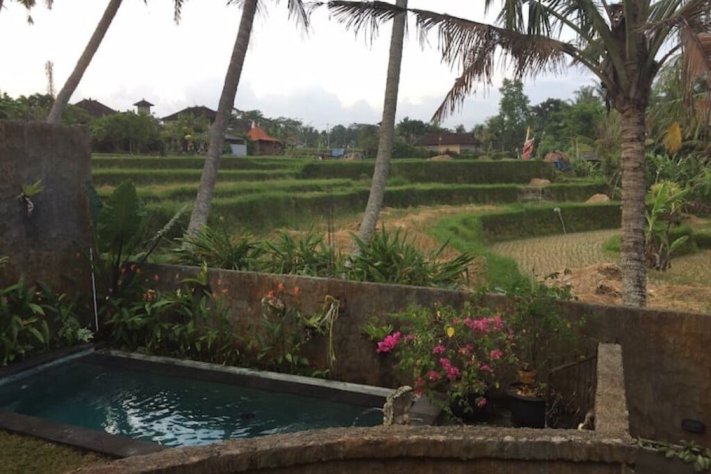 Photo of Outdoor in Penestanan