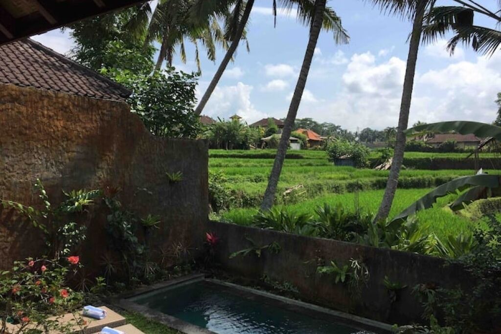 Photo of Outdoor in Penestanan