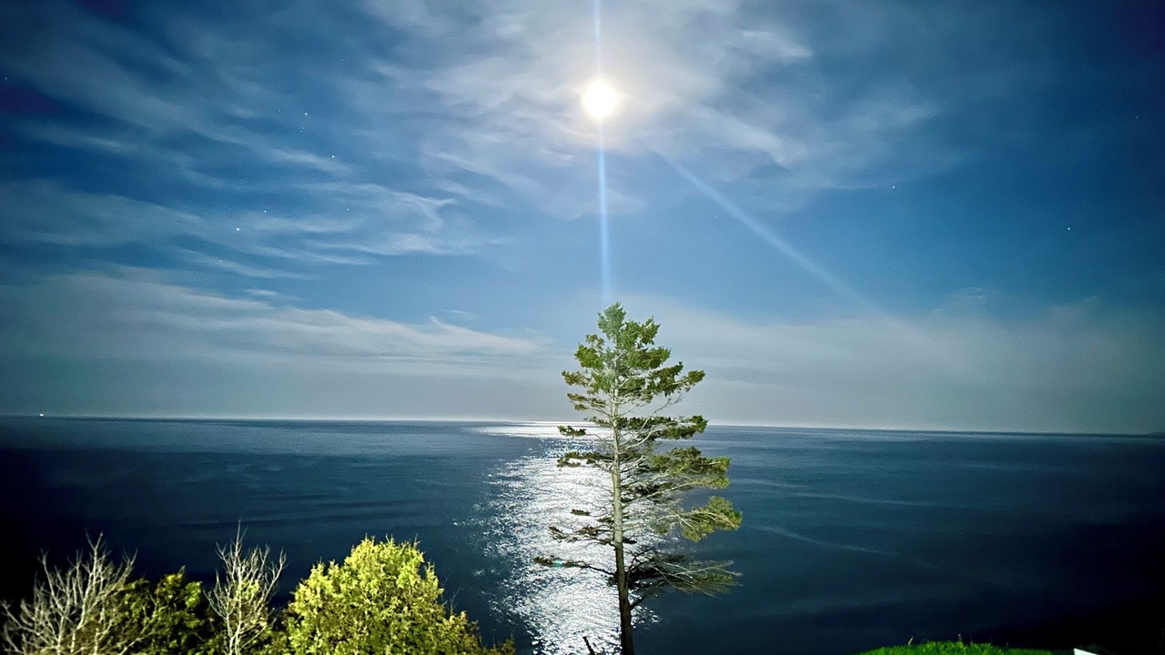 Photo of Others in Pabos