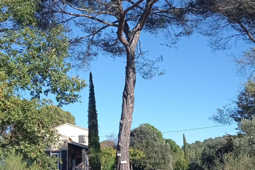 Photo of Others in Villelaure