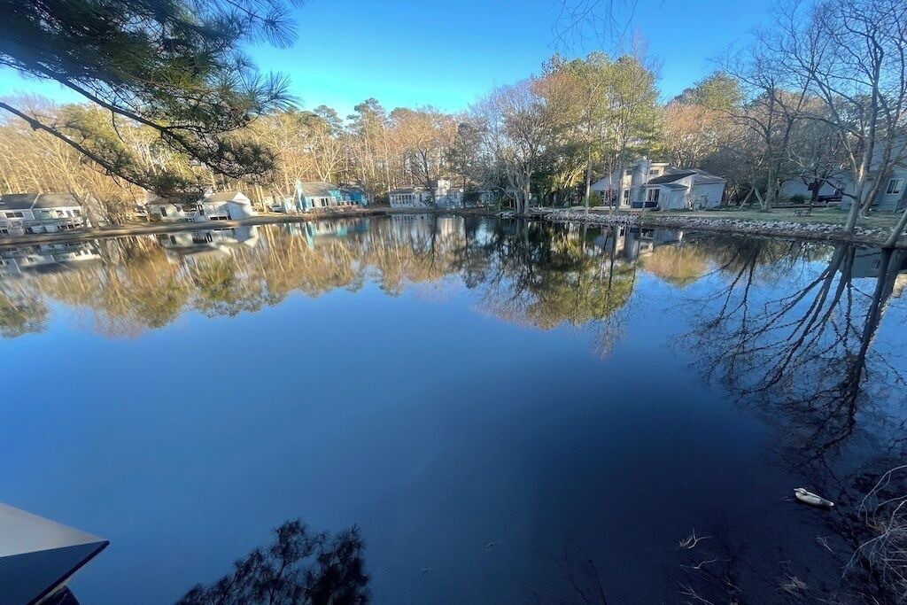 Photo of Others in Rocky Mount