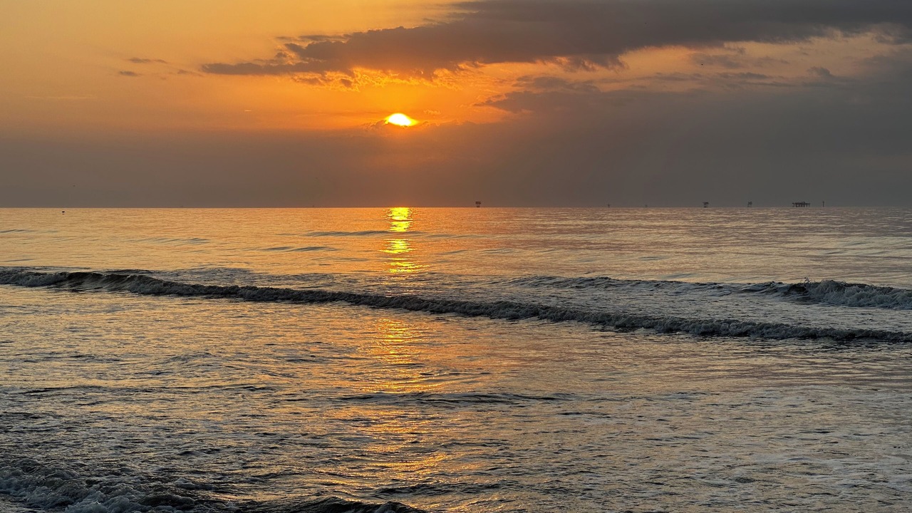 Photo of Others in Port Aransas