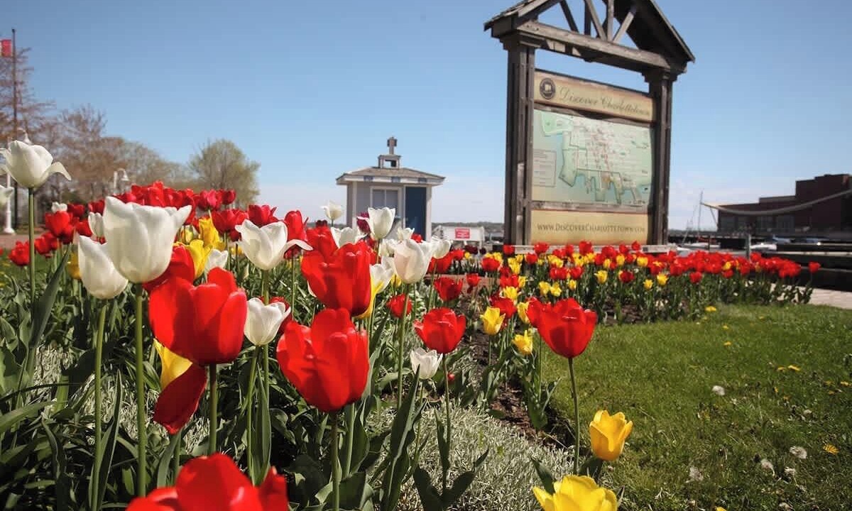 Photo of Outdoor in Queens Square