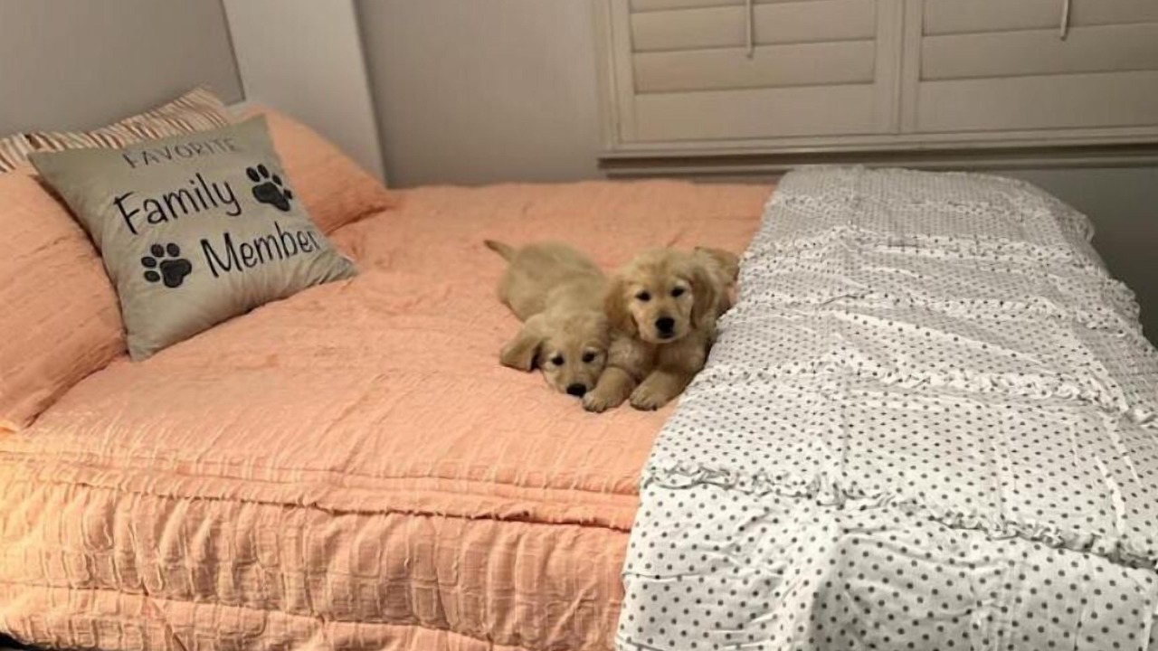 Photo of Bedroom in Herriman