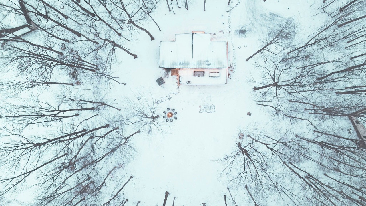 Photo of Others in Sunderland