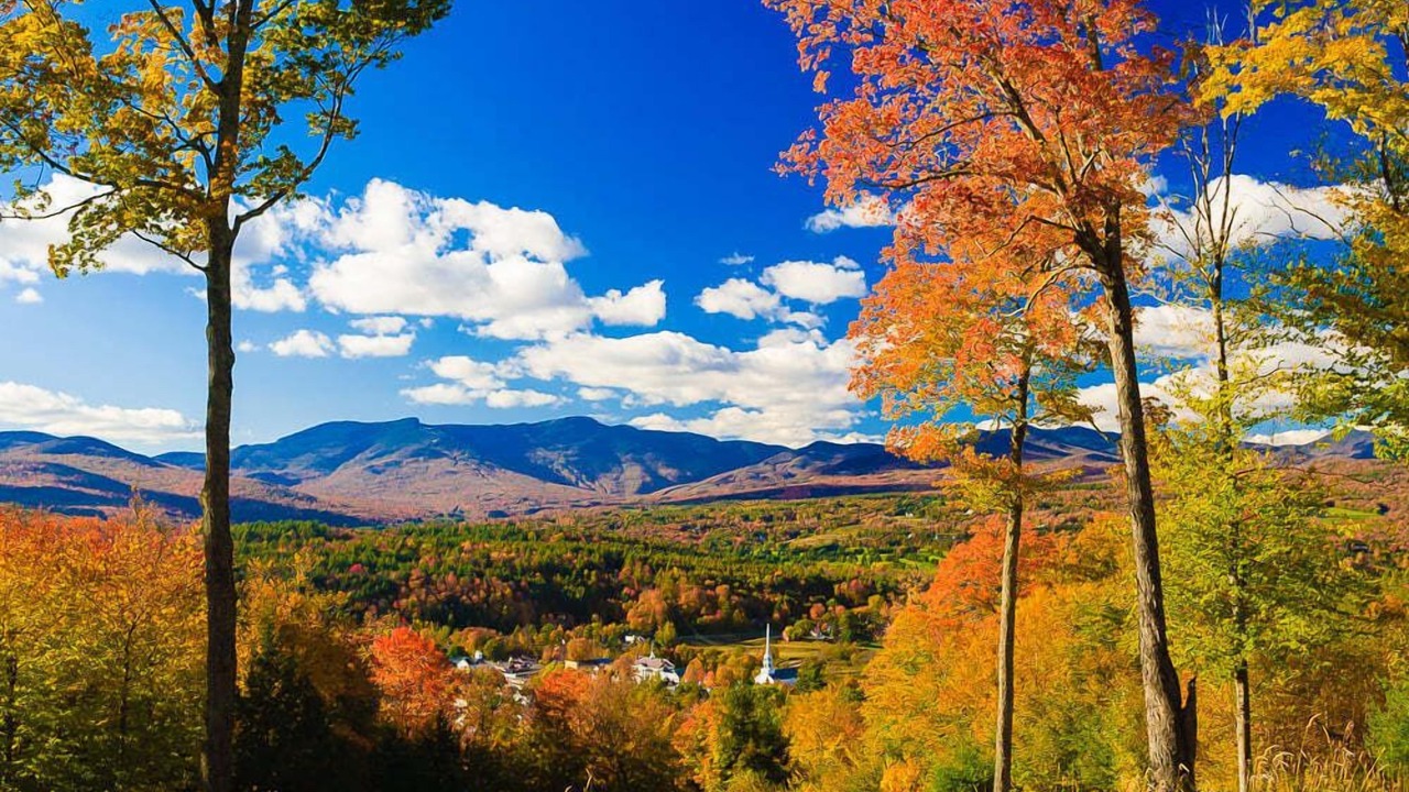 Photo of Others in Stowe Area