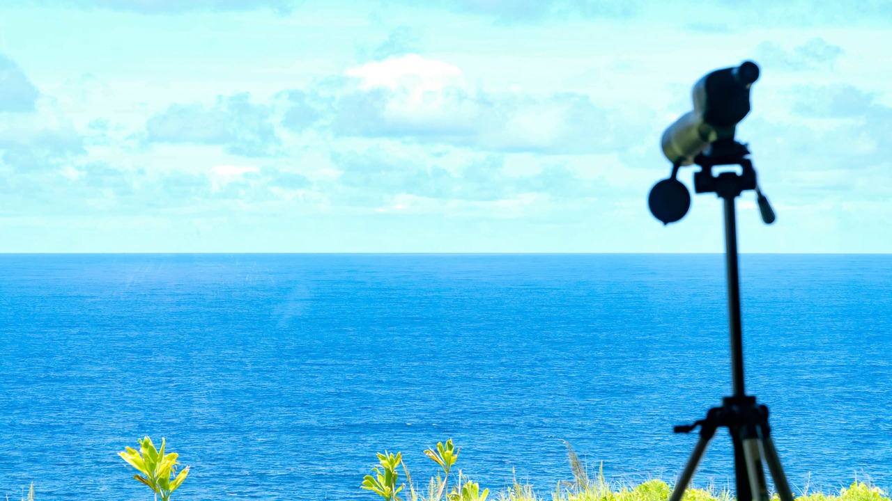 Photo of Others in Hakalau