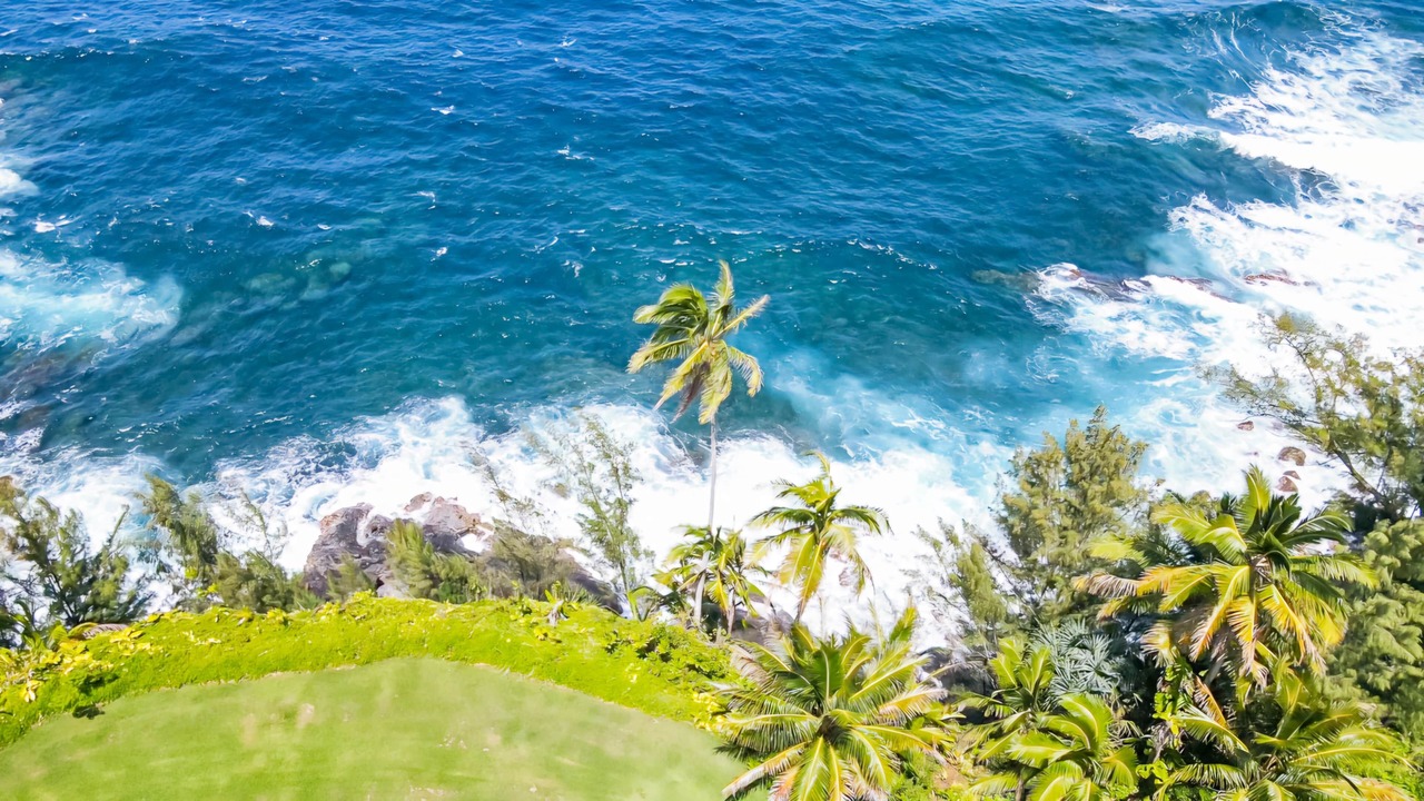 Photo of Others in Hakalau