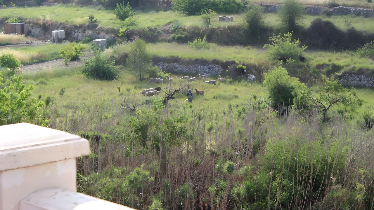Photo of Outdoor in La Vall d'Ebo